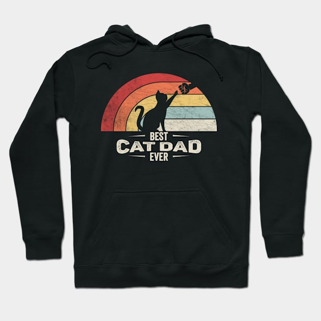 Retro Vintage Best Cat Dad Ever Funny Black Cat Cat Father Fur Dad Cat Lover Gift Hoodie by SomeRays